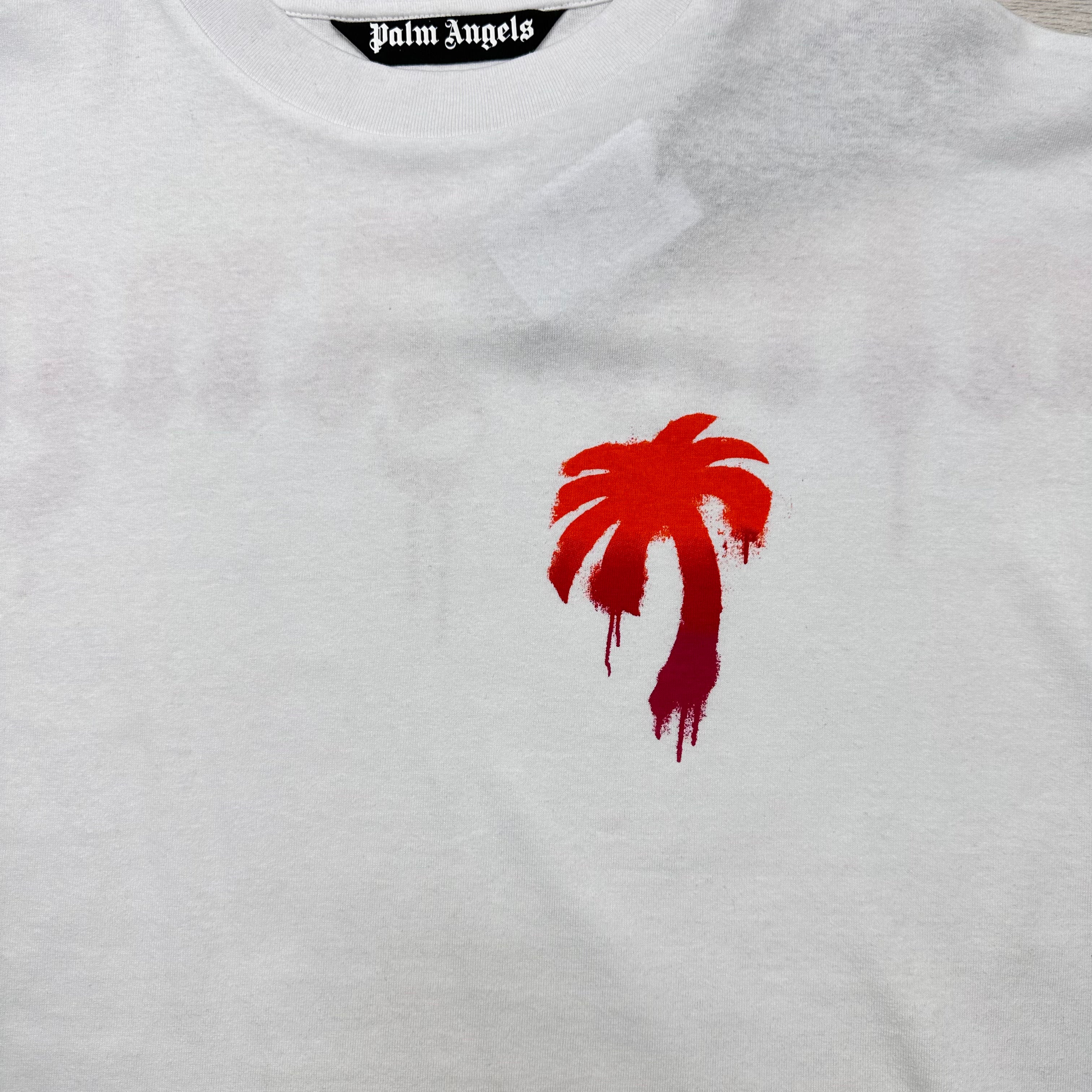Sprayed Palm Logo